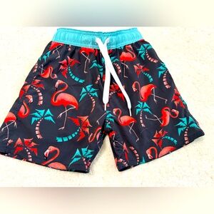 Boys (sz 5) Wes and Willy Flamingo & Palm trees swim trunks